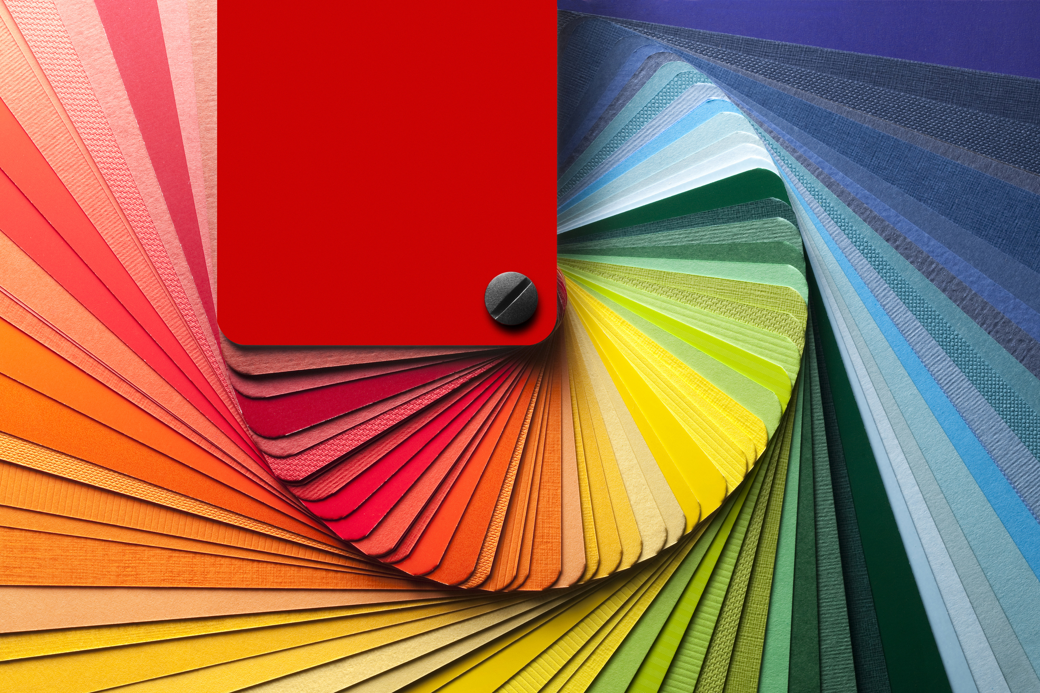 a close up of a color palette